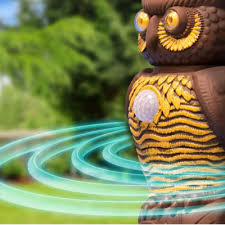 Aparat antidaunatori Ultra Sonic cu senzori de miscare Owl Alert